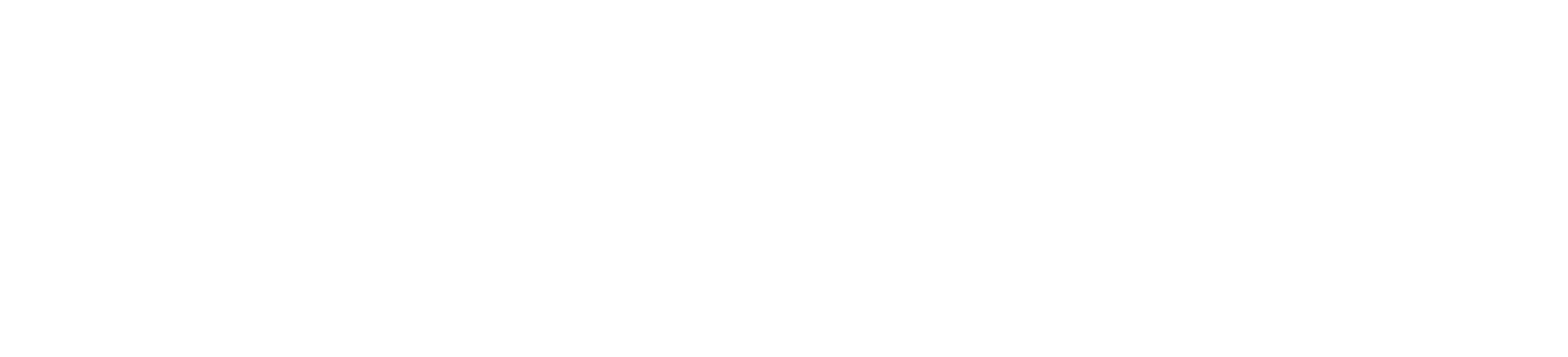 Dream Chip