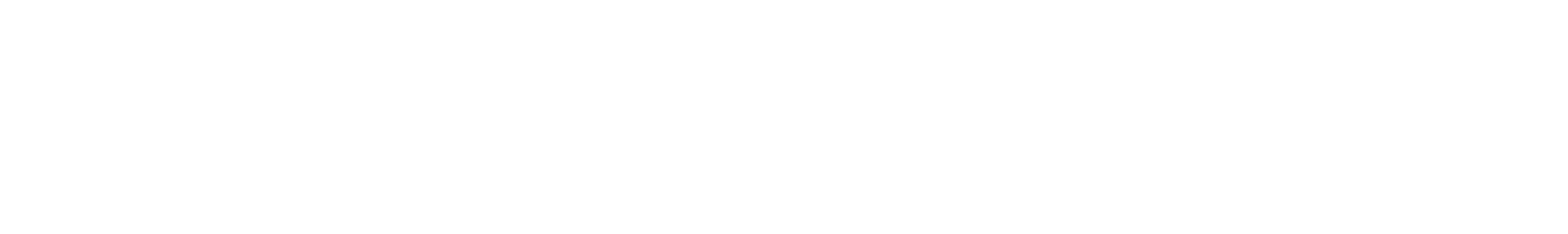 Prime Vision